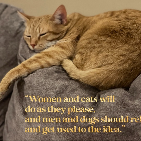 Welcome Friends The Den is open for your shopping pleasure Watch for LIVE SHOWS - Picture 16 of 16